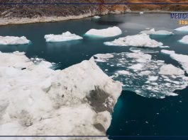 Cambiamento climatico, Mercogliano (Sic): “Il caldo la principale emergenza”