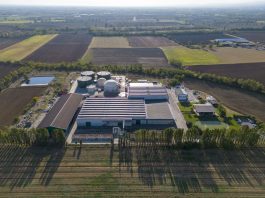 Green Gas, la ceca Elevion acquisisce Maserati Energia