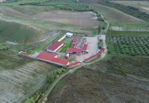 Macellazione clandestina di cavalli, un arresto e 5 denunce nel Crotonese