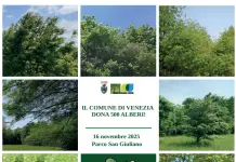Il Comune dona 1.100 alberi ai cittadini sabato 15 e domenica 16 novembre
