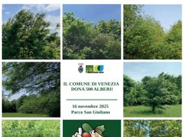 Il Comune dona 1.100 alberi ai cittadini sabato 15 e domenica 16 novembre
