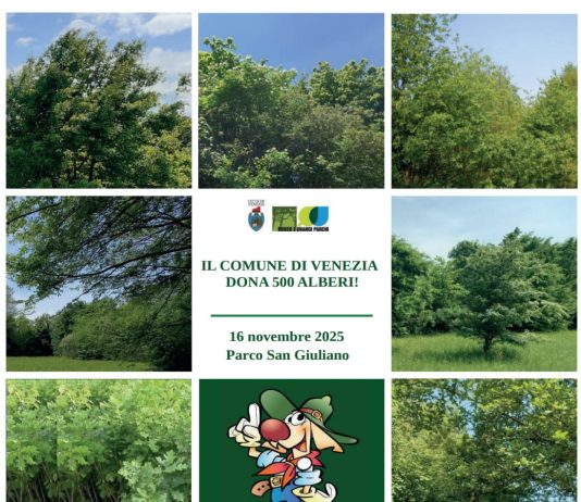 Il Comune dona 1.100 alberi ai cittadini sabato 15 e domenica 16 novembre