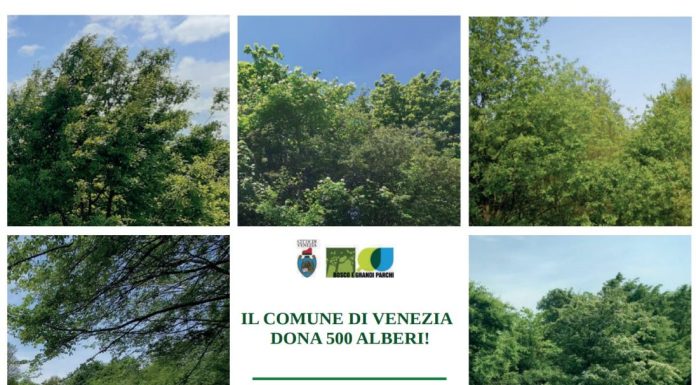 Il Comune dona 1.100 alberi ai cittadini sabato 15 e domenica 16 novembre