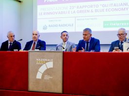 Il futuro dell’Italia sarà rinnovabile per l’80% degli italiani