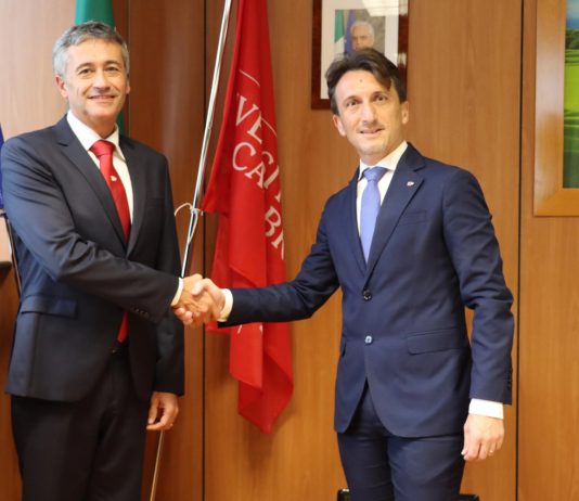 Stefano Curcio è il nuovo Prorettore Vicario dell’Università della Calabria