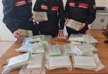 Fermata in auto con 23kg di cocaina dopo un inseguimento, arrestata una donna in provincia di Salerno