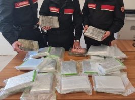 Fermata in auto con 23kg di cocaina dopo un inseguimento, arrestata una donna in provincia di Salerno