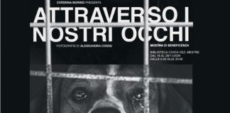 Alla Biblioteca civica VEZ la mostra “Attraverso i nostri occhi” di Caterina Murino