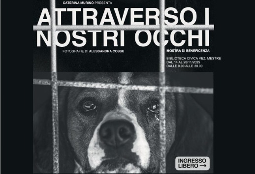 Attraverso i nostri occhi
