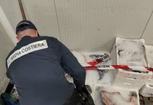 Blitz della Guardia Costiera contro la pesca illegale a Cagliari, sanzioni di 30 mila euro