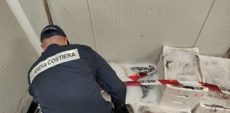 Blitz della Guardia Costiera contro la pesca illegale a Cagliari, sanzioni di 30 mila euro
