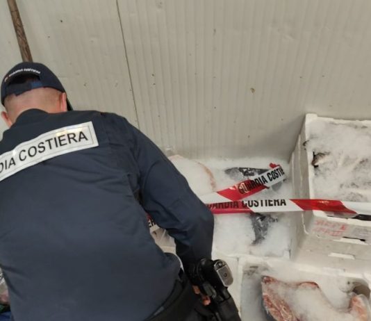 Blitz della Guardia Costiera contro la pesca illegale a Cagliari, sanzioni di 30 mila euro