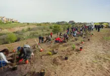 Tim pianta 400 nuovi alberi a Roma per migliorare l’ambiente urbano