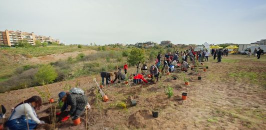 Tim pianta 400 nuovi alberi a Roma per migliorare l’ambiente urbano