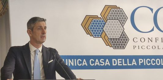 Cristian Camisa confermato presidente di Confapi