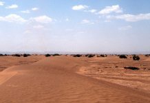 UN Security Council recongnises Morocco’s sovereignty over the Sahara