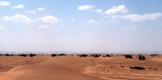 UN Security Council recongnises Morocco’s sovereignty over the Sahara