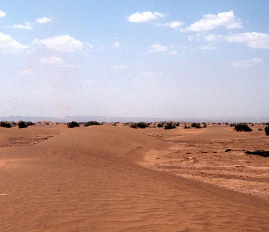 Sahara occidentale, negoziati a Madrid sull’autonomia