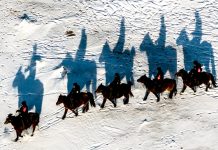 Cina: squadra di polizia a cavallo “Gyrfalcon” tutela praterie nel confine nord