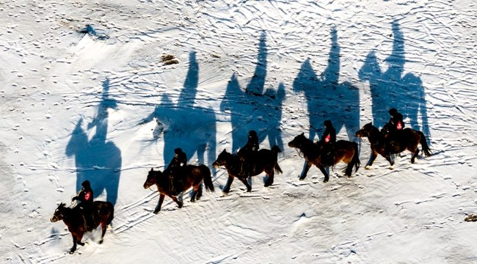 Cina: squadra di polizia a cavallo “Gyrfalcon” tutela praterie nel confine nord