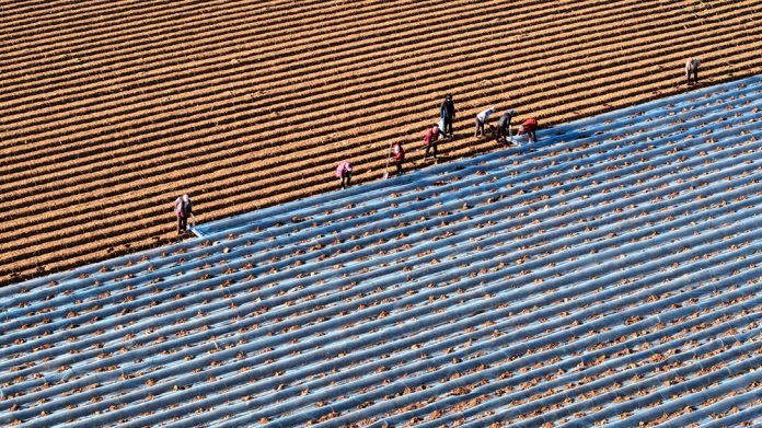 #CHINA-MAJOR SNOW-AGRICULTURE (CN)