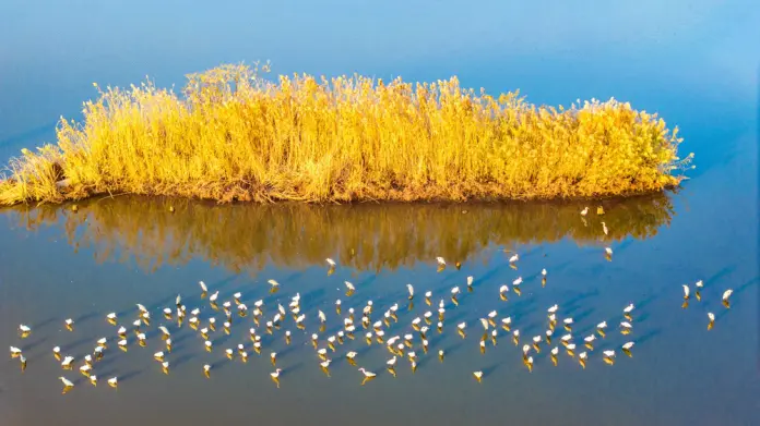 #CHINA-WINTER SCENERY (CN)
