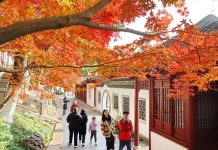 Paesaggi invernali: natura e vita quotidiana nella Cina orientale (2)