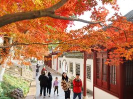 Paesaggi invernali: natura e vita quotidiana nella Cina orientale (2)