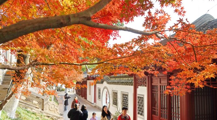 Paesaggi invernali: natura e vita quotidiana nella Cina orientale (2)