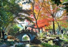 Paesaggi invernali: natura e vita quotidiana nella Cina orientale (3)