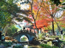 Paesaggi invernali: natura e vita quotidiana nella Cina orientale (3)