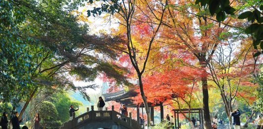 Paesaggi invernali: natura e vita quotidiana nella Cina orientale (3)