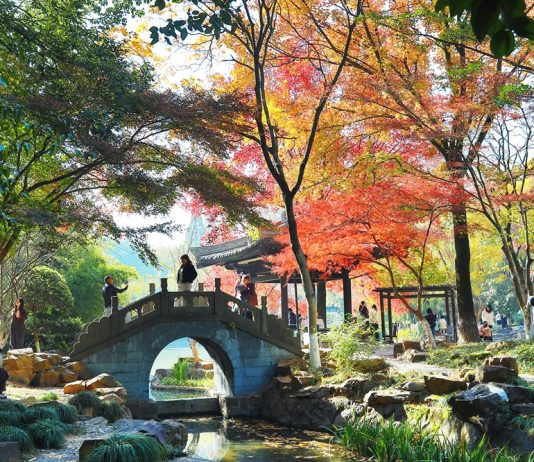 Paesaggi invernali: natura e vita quotidiana nella Cina orientale (3)