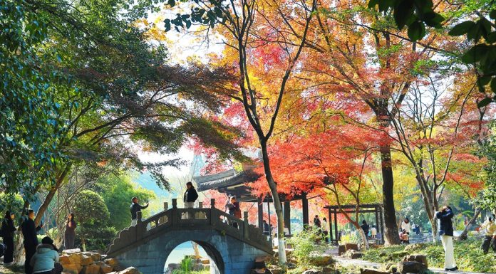 Paesaggi invernali: natura e vita quotidiana nella Cina orientale (3)