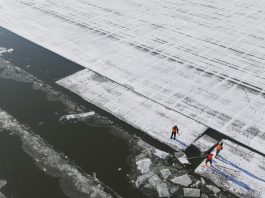 Cina: a Harbin in corso la raccolta del ghiaccio (1)