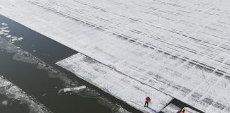 Cina: a Harbin in corso la raccolta del ghiaccio (1)