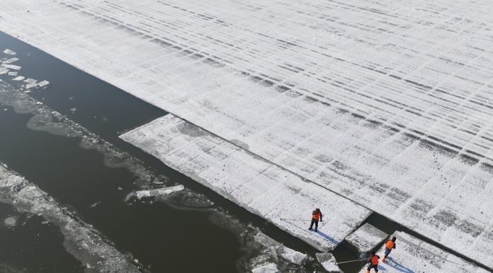 Cina: a Harbin in corso la raccolta del ghiaccio (1)
