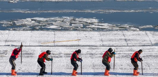 Cina: a Harbin in corso la raccolta del ghiaccio (3)