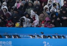 Cina: foto della parata di pinguini all’Harbin Polarland (3)