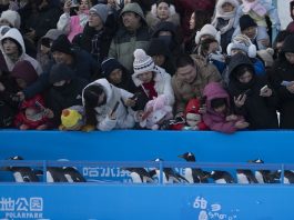 Cina: foto della parata di pinguini all’Harbin Polarland (3)