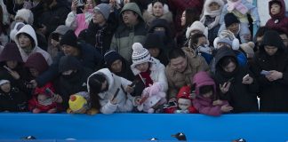 Cina: foto della parata di pinguini all’Harbin Polarland (3)
