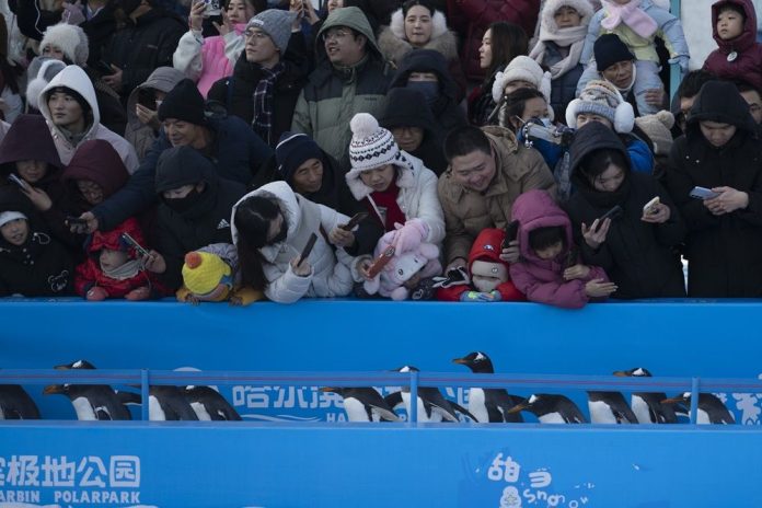 CHINA-HEILONGJIANG-HARBIN-TOURISM-PENGUINS-PARADE (CN)