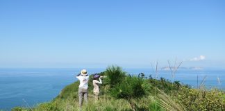 Cina: appassionati di birdwatching conducono osservazioni a Yantai (1)