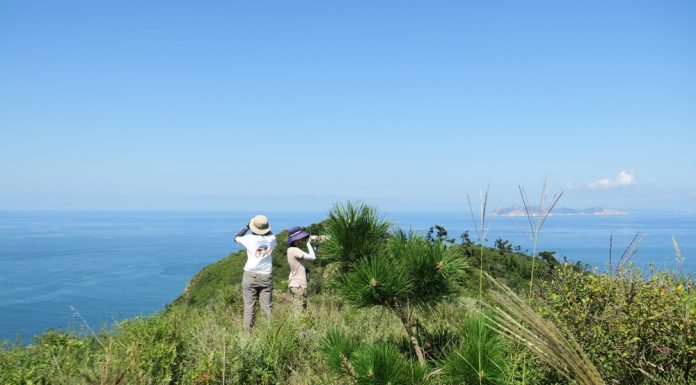 Cina: appassionati di birdwatching conducono osservazioni a Yantai (1)