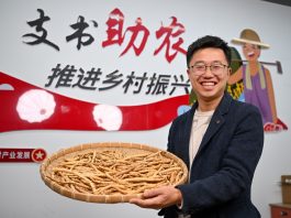 Cina: modello innovativo di promozione dello sviluppo rurale nel Sichuan (2)