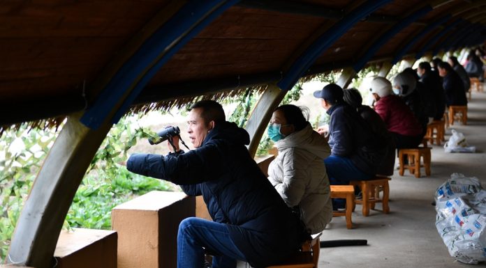 Cina: sul lago Donggu attuati progetti di protezione e ripristino ecologico (1)