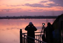 Cina: sul lago Donggu attuati progetti di protezione e ripristino ecologico (3)