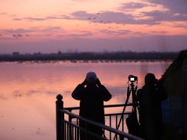 Cina: sul lago Donggu attuati progetti di protezione e ripristino ecologico (3)