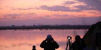 Cina: sul lago Donggu attuati progetti di protezione e ripristino ecologico (3)