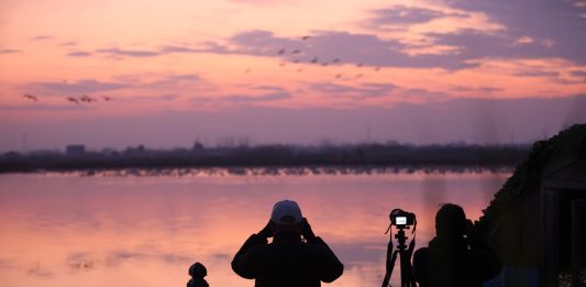 Cina: sul lago Donggu attuati progetti di protezione e ripristino ecologico (3)